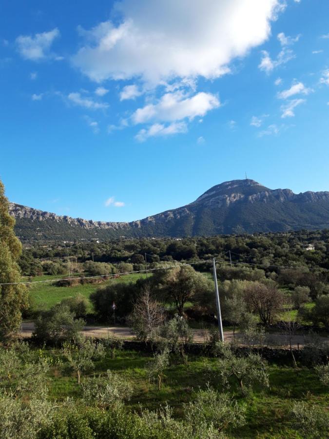דירות דורגלי Casa Toloi מראה חיצוני תמונה
